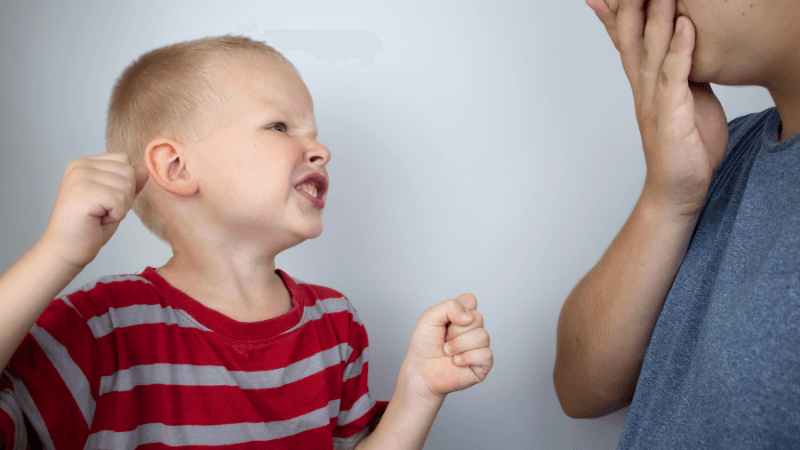 A New Perspective on Aggression: 6 Connection-focused Insights Every Parent Should Know