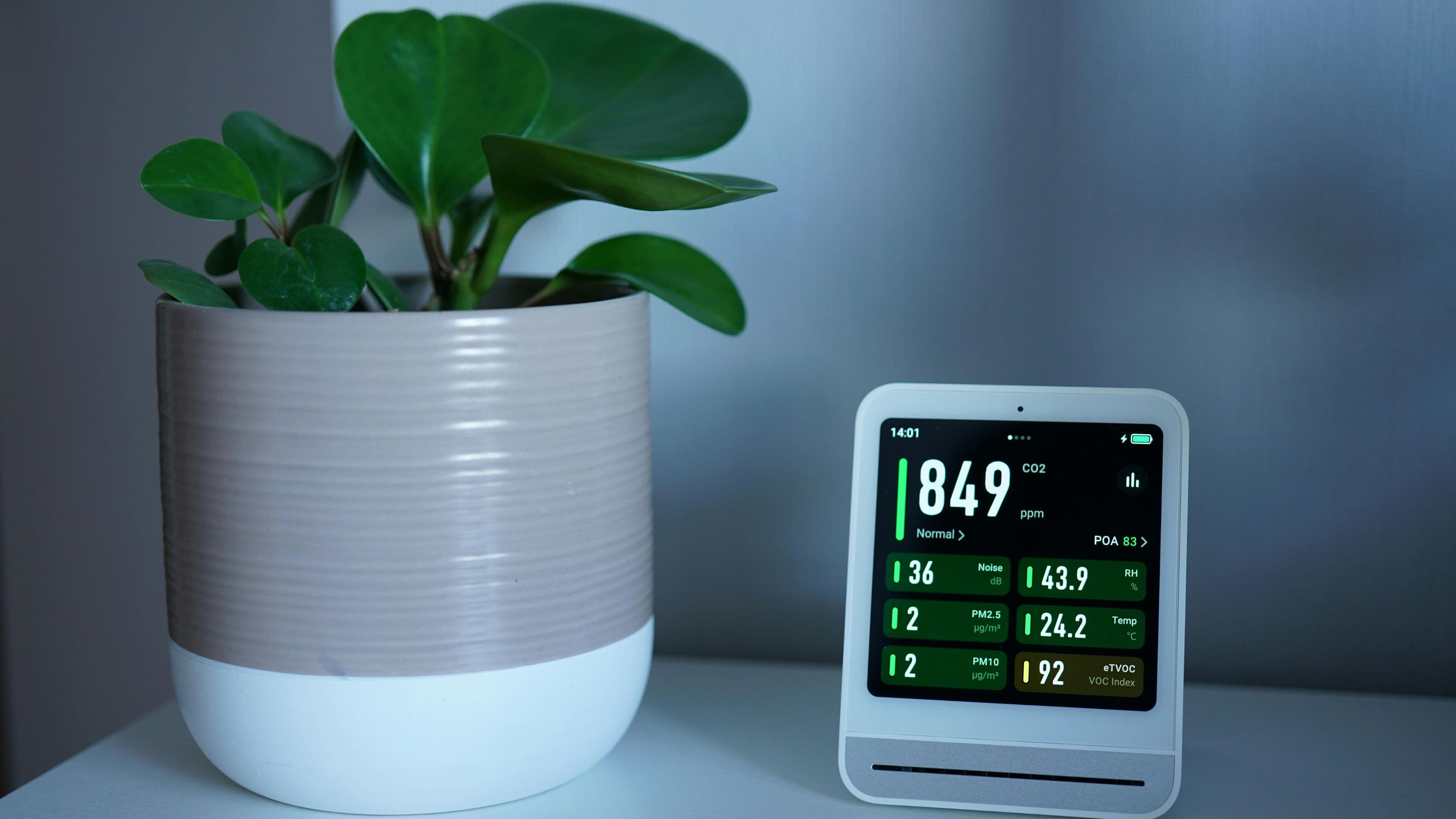 Best Devices to Monitor and Improve Indoor Air Quality