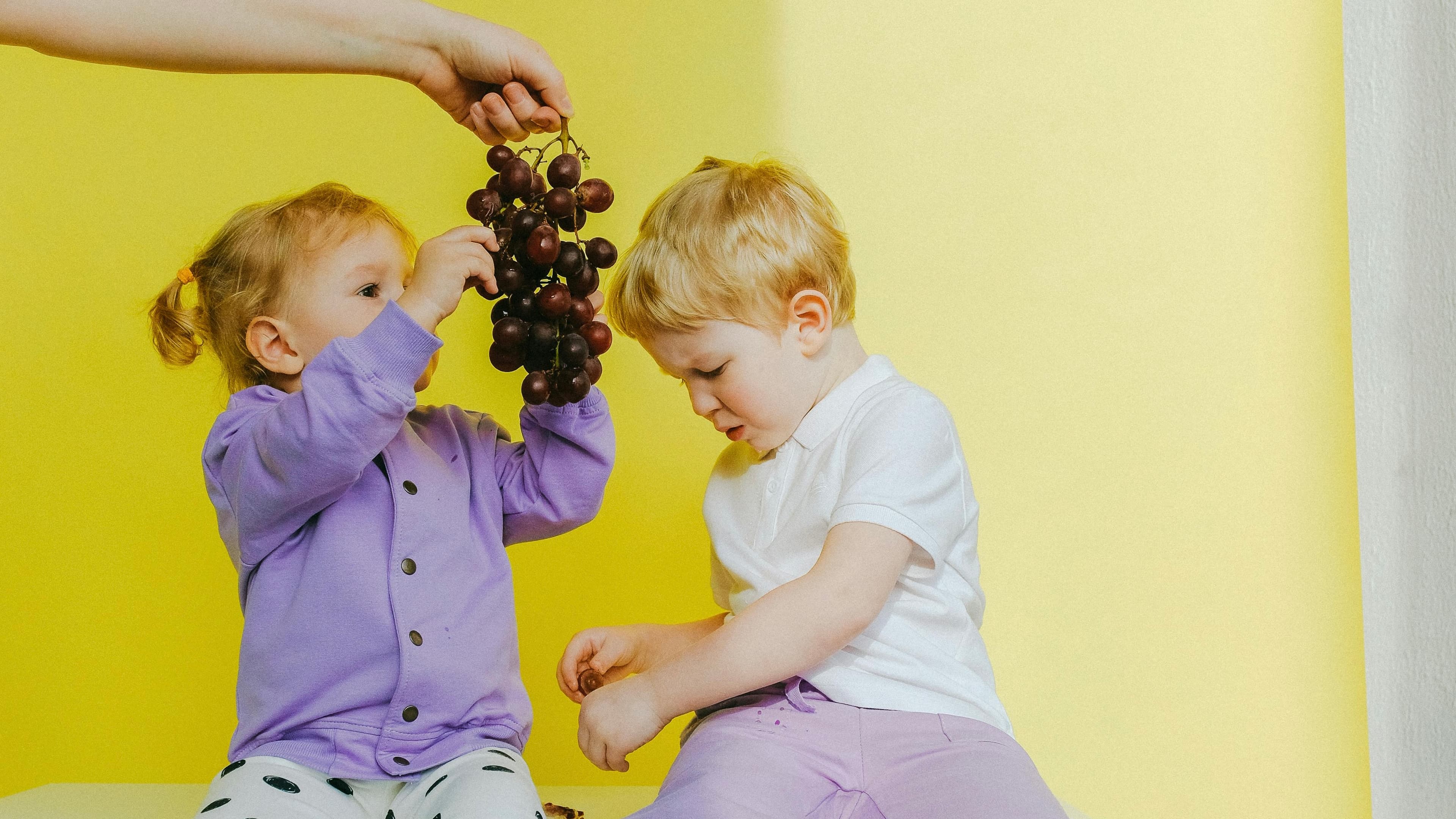 Healthy Meal Planning: a Family Guide to Nutritious Eating
