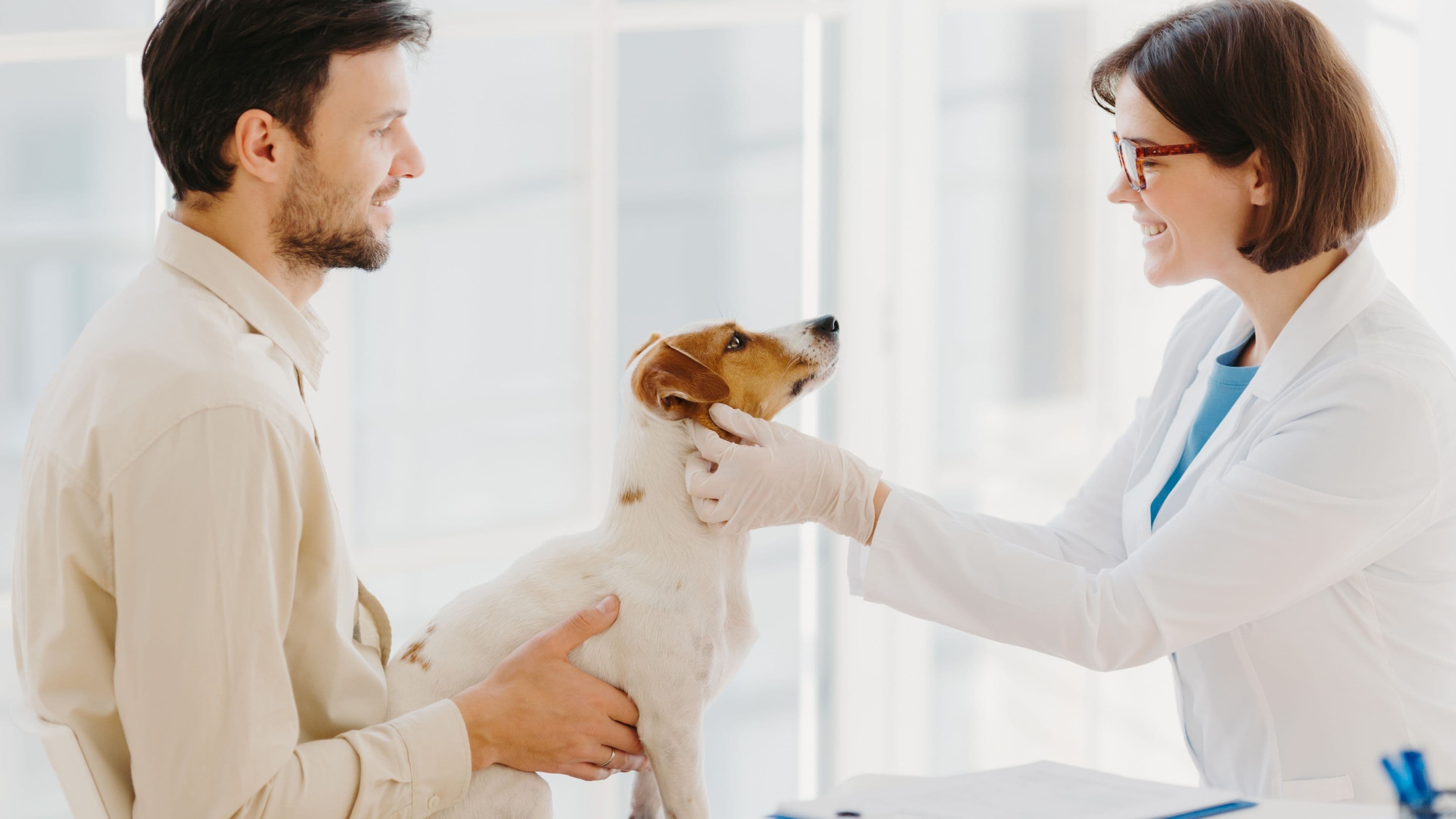 Pet Insurance Explained: What Every Pet Owner Should Know