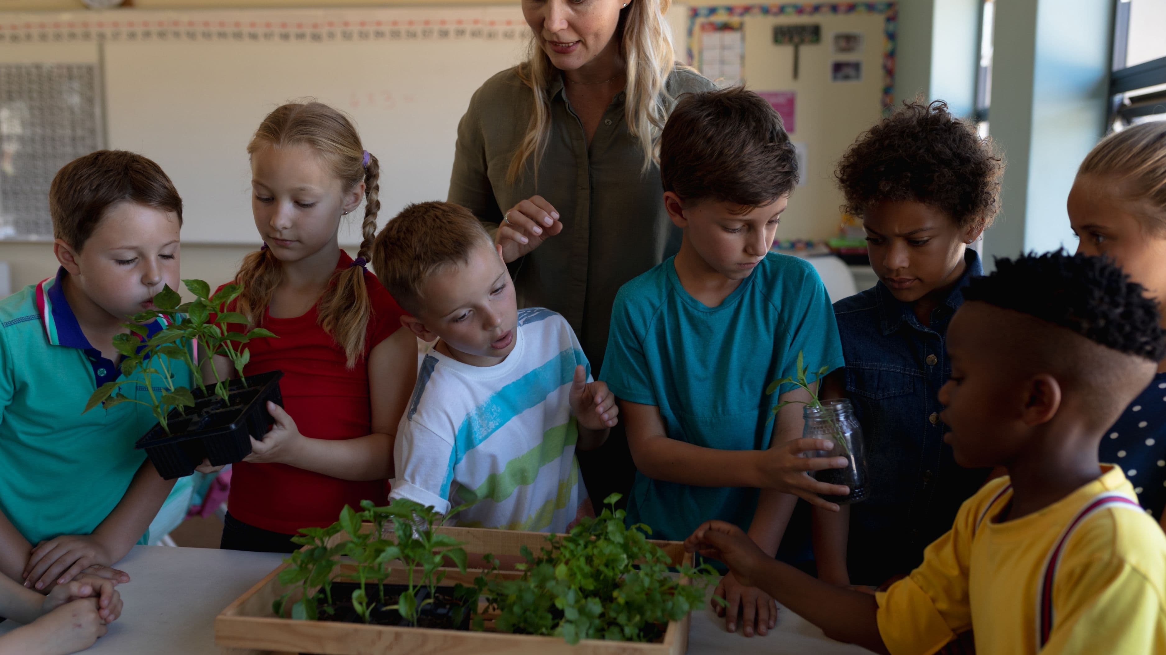 What Is the Most Effective Way to Teach Kids About Climate Change?