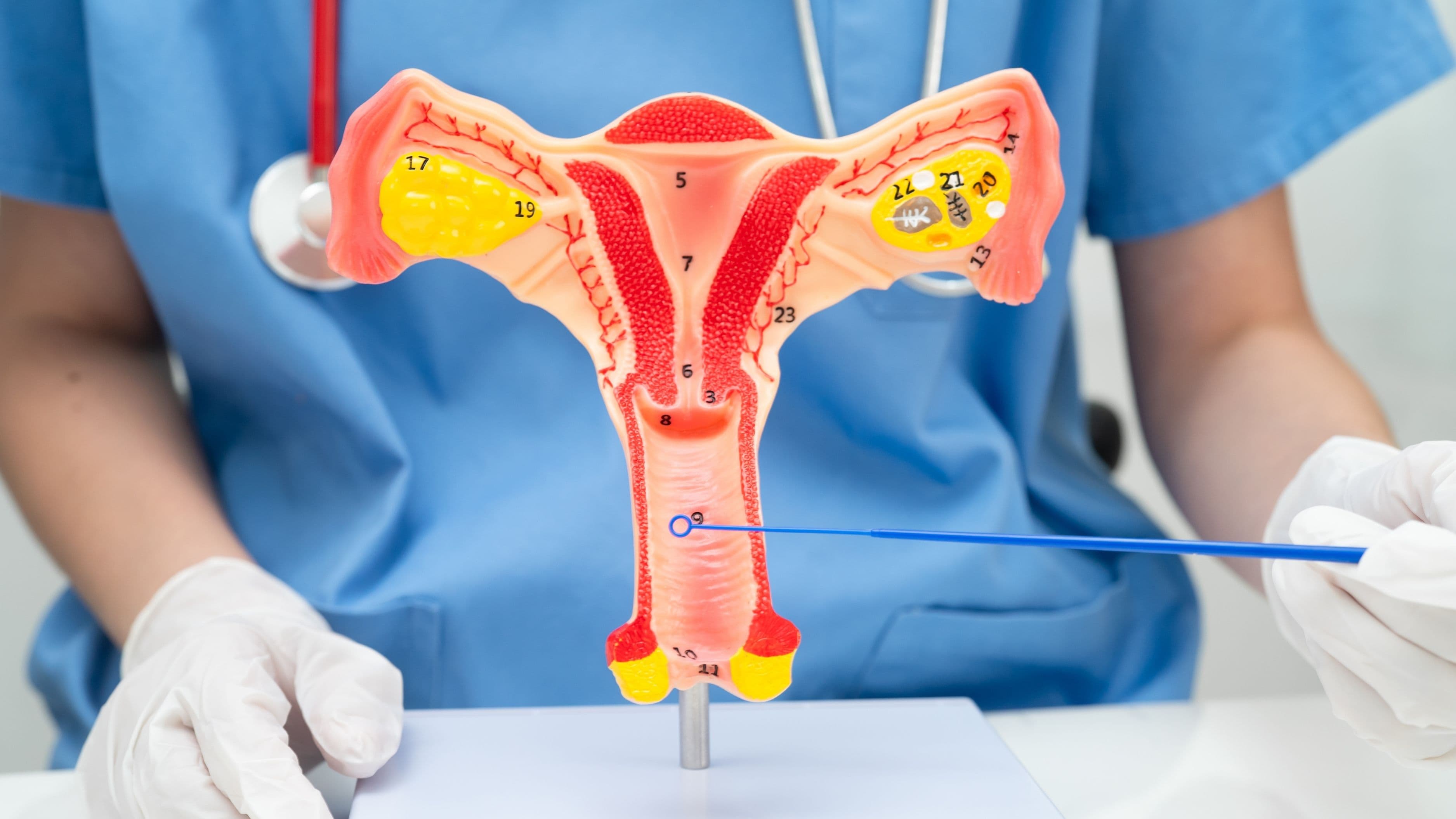 What Is Vaginal Dryness and How Can Women Address It Naturally?
